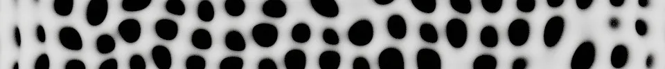 Sustainable Web Design Principles and Practices